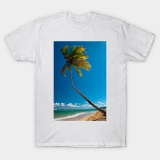 Solitary Crooked Palm T-Shirt